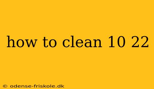 how to clean 10 22