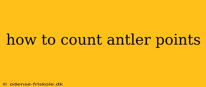 how to count antler points