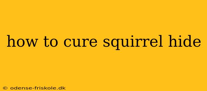 how to cure squirrel hide