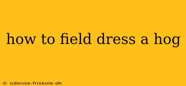 how to field dress a hog