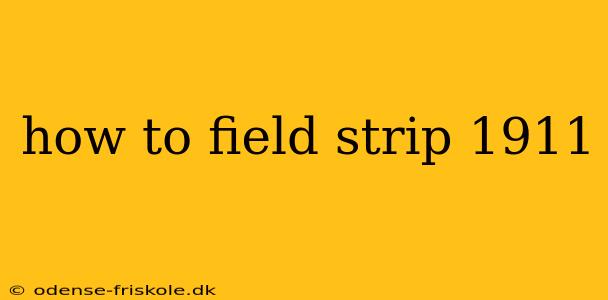 how to field strip 1911