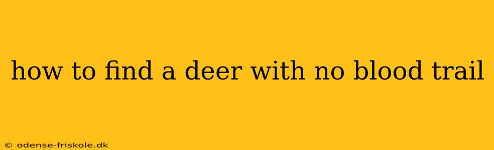 how to find a deer with no blood trail