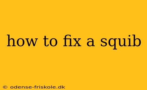 how to fix a squib