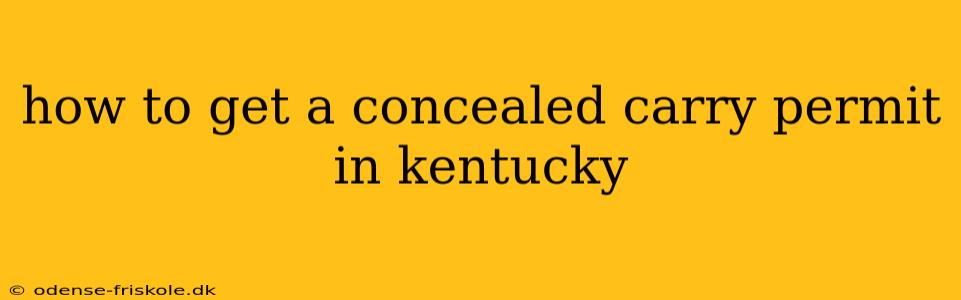 how to get a concealed carry permit in kentucky