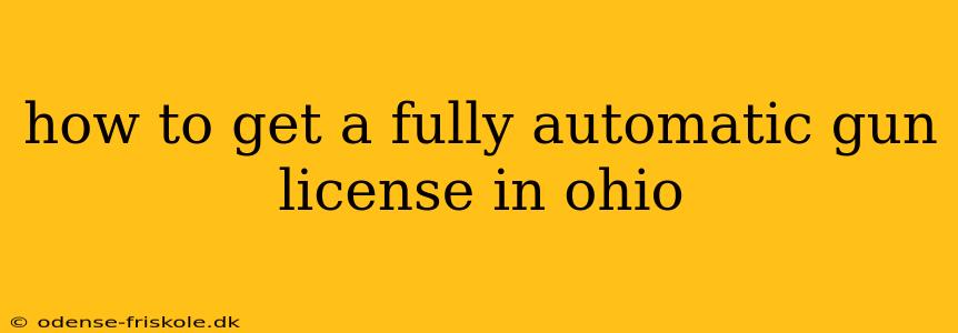 how to get a fully automatic gun license in ohio