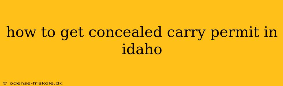 how to get concealed carry permit in idaho