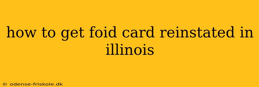 how to get foid card reinstated in illinois