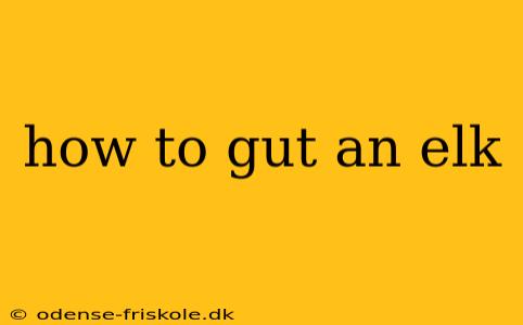 how to gut an elk