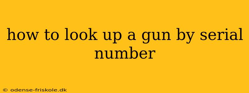 how to look up a gun by serial number