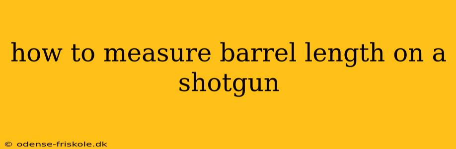 how to measure barrel length on a shotgun