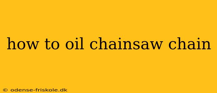 how to oil chainsaw chain