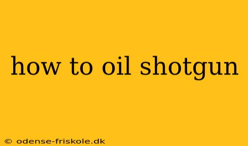 how to oil shotgun