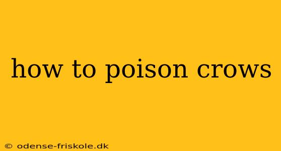 how to poison crows