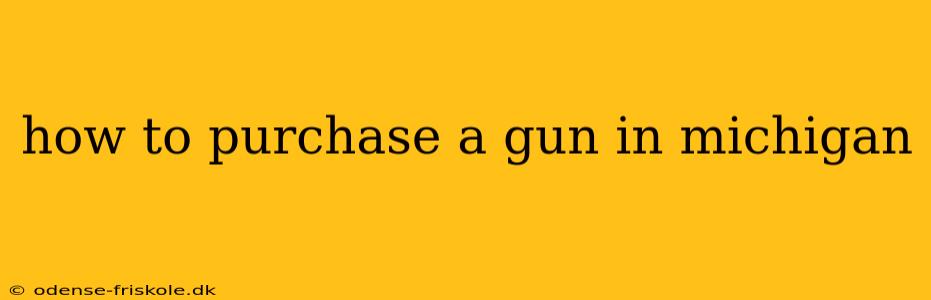 how to purchase a gun in michigan