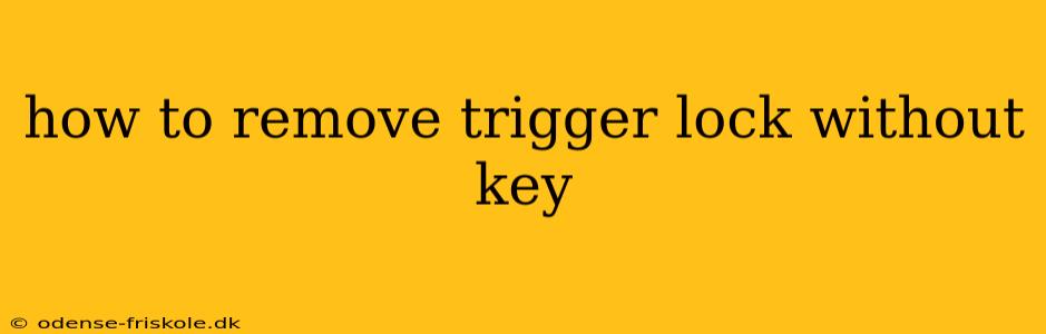 how to remove trigger lock without key