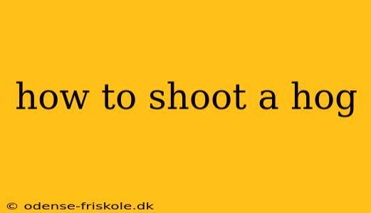 how to shoot a hog