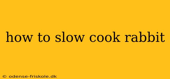 how to slow cook rabbit