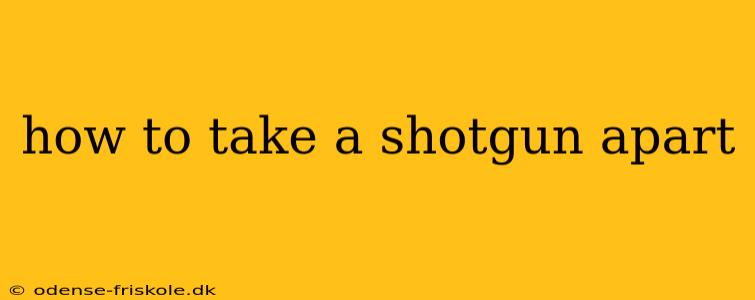 how to take a shotgun apart