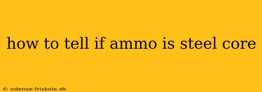 how to tell if ammo is steel core