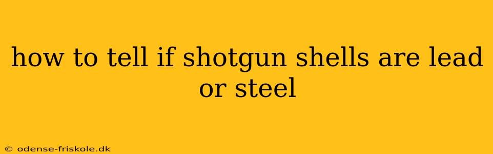 how to tell if shotgun shells are lead or steel