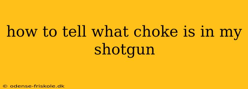 how to tell what choke is in my shotgun