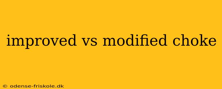 improved vs modified choke