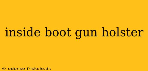 inside boot gun holster