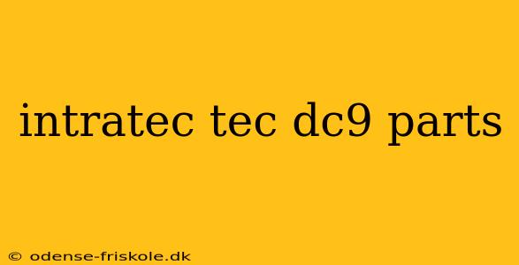 intratec tec dc9 parts