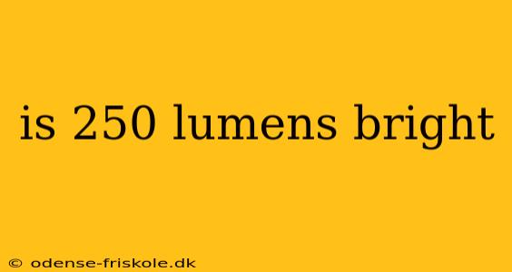 is 250 lumens bright