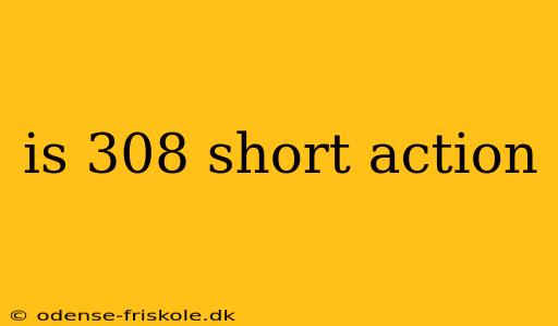 is 308 short action