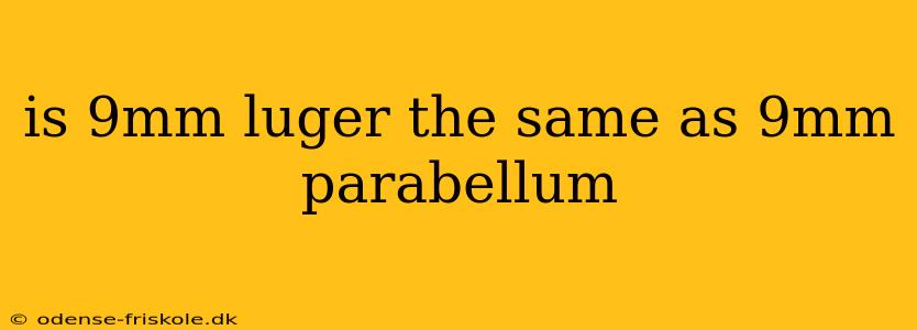 is 9mm luger the same as 9mm parabellum