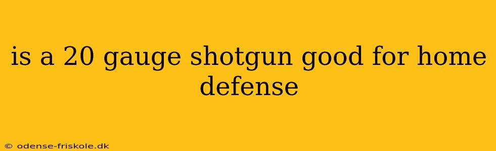 is a 20 gauge shotgun good for home defense