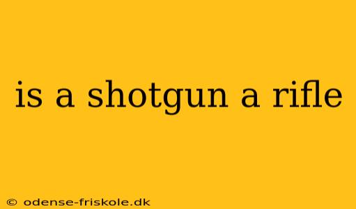 is a shotgun a rifle