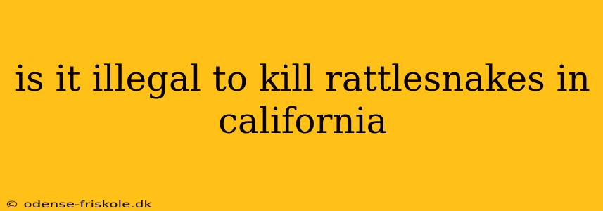 is it illegal to kill rattlesnakes in california