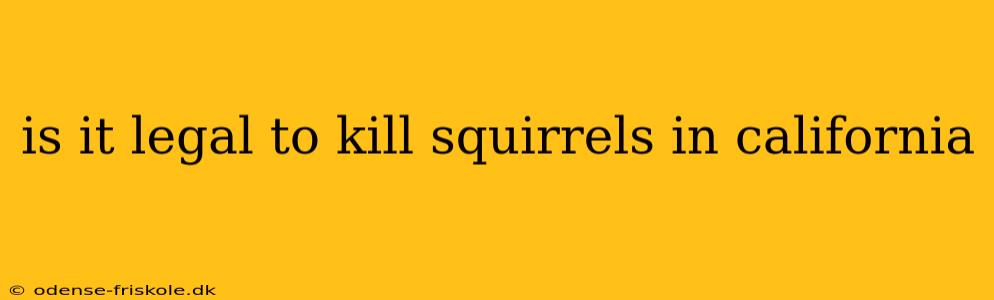 is it legal to kill squirrels in california