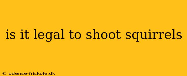 is it legal to shoot squirrels