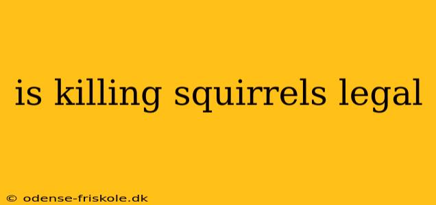 is killing squirrels legal