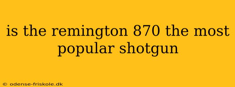 is the remington 870 the most popular shotgun