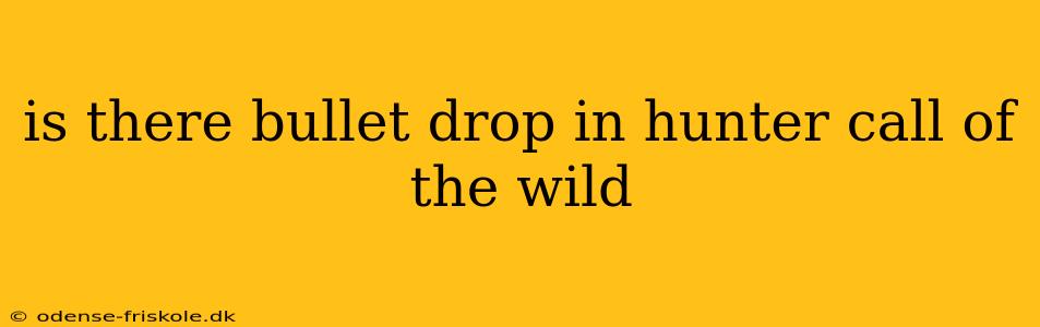 is there bullet drop in hunter call of the wild