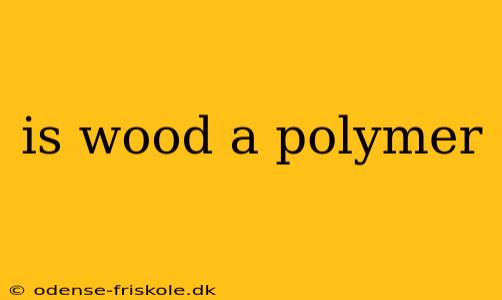 is wood a polymer