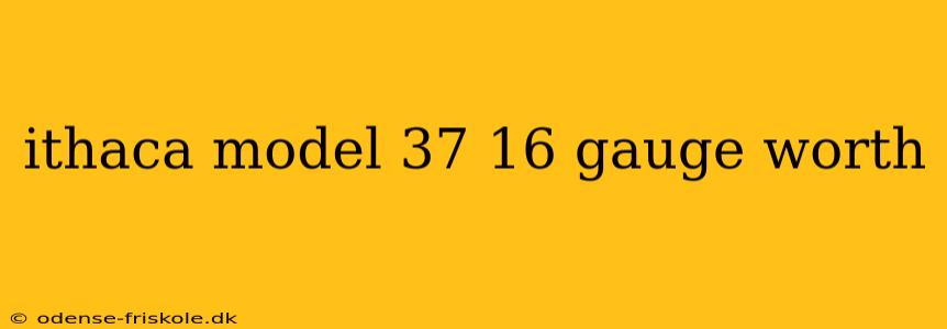 ithaca model 37 16 gauge worth