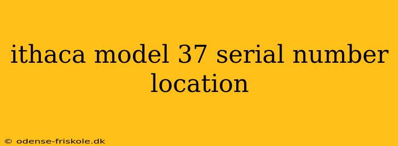 ithaca model 37 serial number location