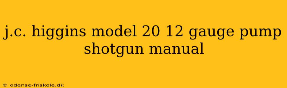 j.c. higgins model 20 12 gauge pump shotgun manual