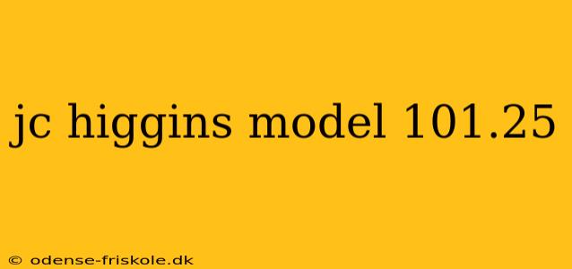 jc higgins model 101.25