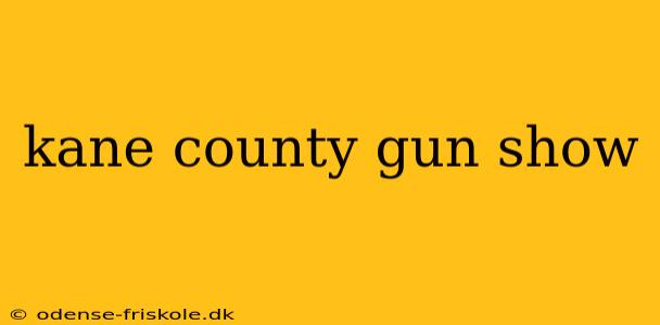 kane county gun show