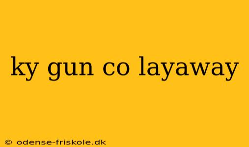 ky gun co layaway