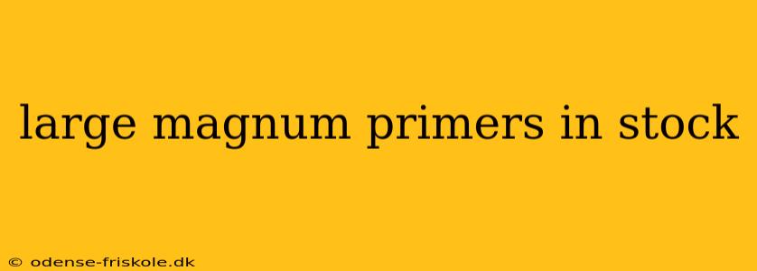 large magnum primers in stock