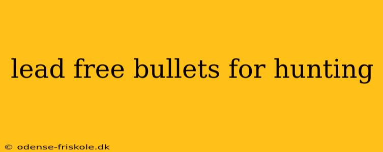 lead free bullets for hunting