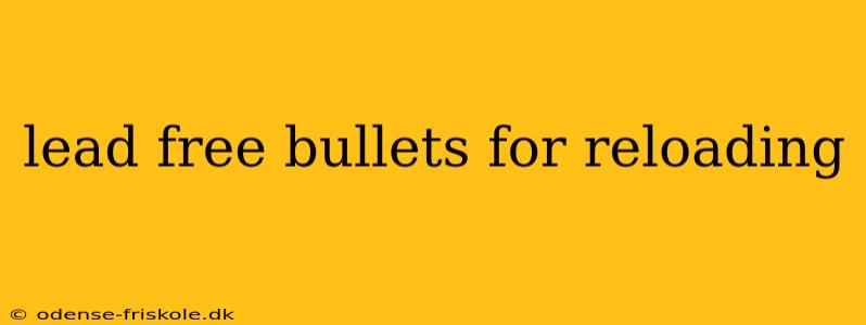 lead free bullets for reloading