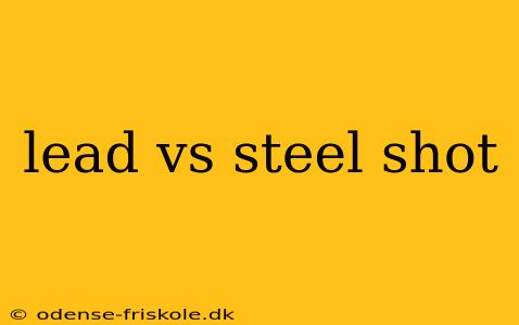 lead vs steel shot